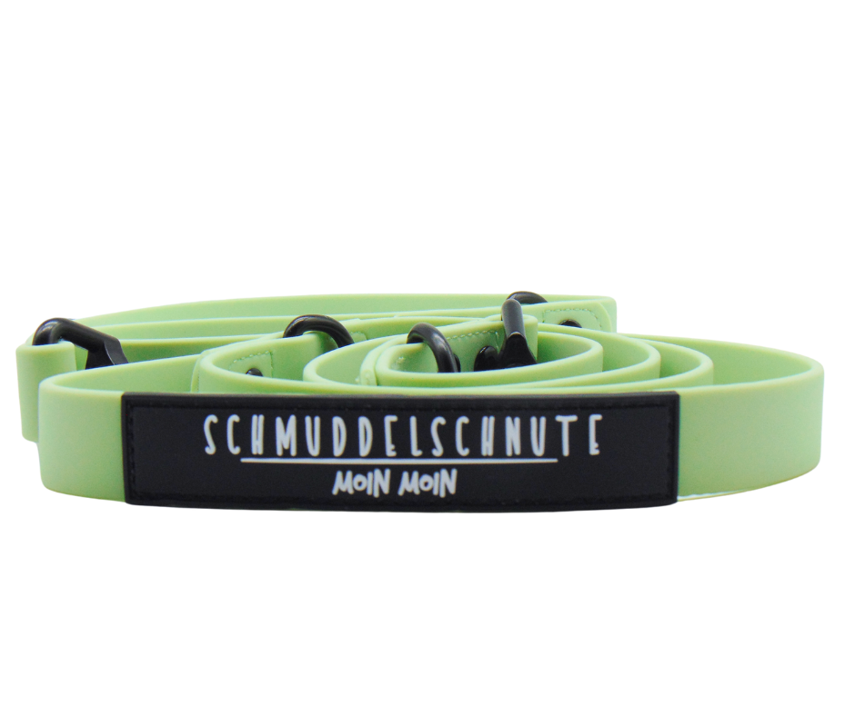 Hundeleine "Schietwedda" Mint