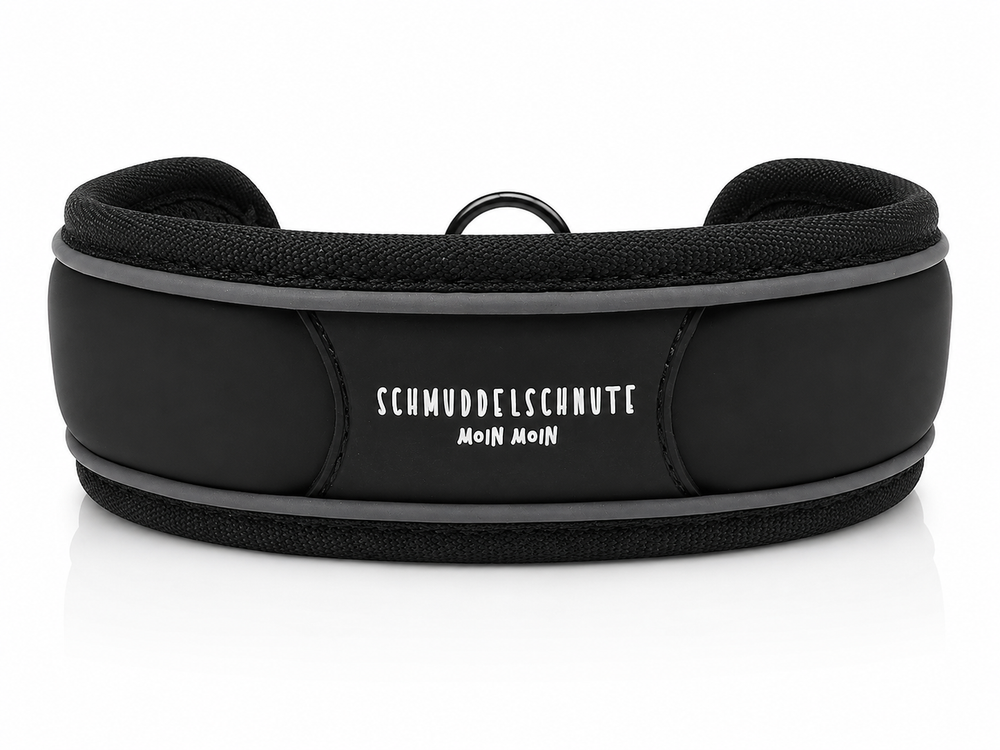 Hundehalsband "Allwedda" Schwarz